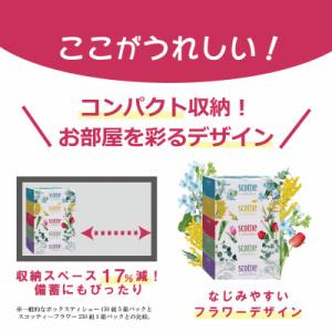 ふるさと納税 福知山市 【ボックスティッシュ】...の詳細画像3