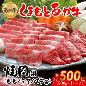 ふるさと納税 阿蘇市 【GI認証】くまもとあか牛　焼肉用約500g(阿蘇市)