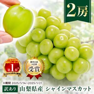 ふるさと納税 山梨市 【訳あり】シャインマスカット 2房 1kg以上