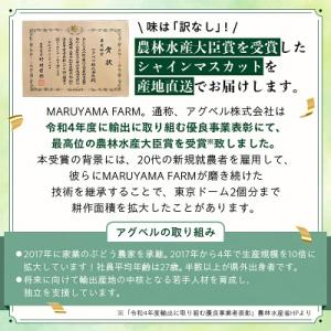 ふるさと納税 山梨市 【2026年発送】【訳あ...の詳細画像1