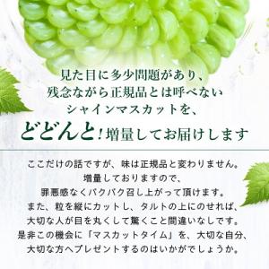 ふるさと納税 山梨市 【2026年発送】【訳あ...の詳細画像2