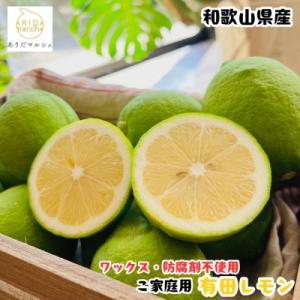 ふるさと納税 湯浅町 ≪先行予約 2026年9月末〜発送≫家庭用有田レモン 1kg【ノーワックス・ノ...
