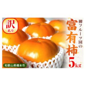 ふるさと納税 橋本市 柳フルーツ園の訳あり富有柿 約5kg