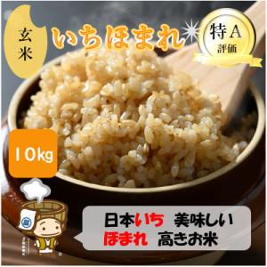 ふるさと納税 あわら市 【令和8年産】いちほまれ 玄米 5kg×2袋(計10kg)《新鮮な高品質米をお届け!》