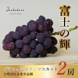 ふるさと納税 笛吹市 【山梨県笛吹市】Inakakara 「富士の輝」2房
