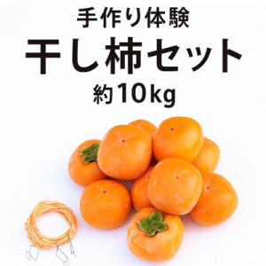 ふるさと納税 橋本市 【先行受付】柳フルーツ園 干し柿セット 約10kg