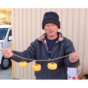 ふるさと納税 橋本市 【先行受付】柳フルーツ園...の詳細画像2