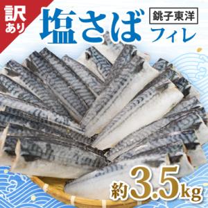 ふるさと納税 銚子市 【訳あり】塩鯖(冷凍) 約...の商品画像