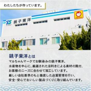 ふるさと納税 銚子市 【訳あり】塩鯖(冷凍) ...の詳細画像1