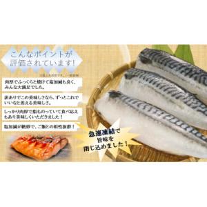 ふるさと納税 銚子市 【訳あり】塩鯖(冷凍) ...の詳細画像3
