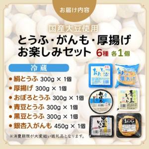 ふるさと納税 越前町 国産大豆とうふ がんも ...の詳細画像3