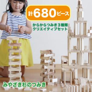 ふるさと納税 都城市 都城市産スギ「からからつみき」3種類クリエイティブセット [680P入]