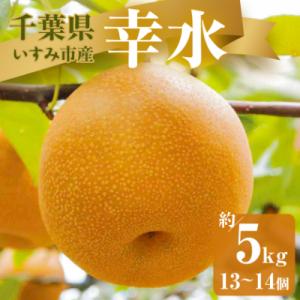 ふるさと納税 いすみ市 【2026年発送先行受付】いすみ市産幸水梨　約5kg(13〜14個)