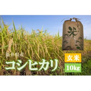 ふるさと納税 越前町 令和8年産　コシヒカリ(玄米)　10kg