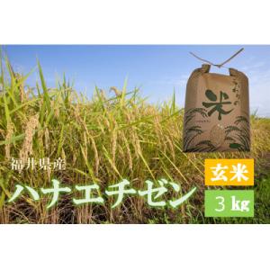 ふるさと納税 越前町 令和8年産　ハナエチゼン(玄米)　3kg