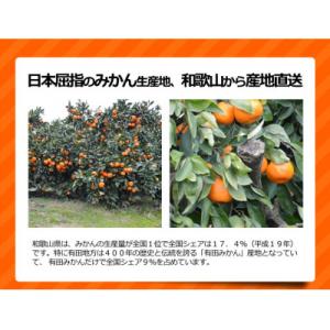 ふるさと納税 和歌山市 訳ありみかん 約10k...の詳細画像1