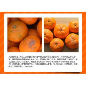 ふるさと納税 和歌山市 訳ありみかん 約10k...の詳細画像2