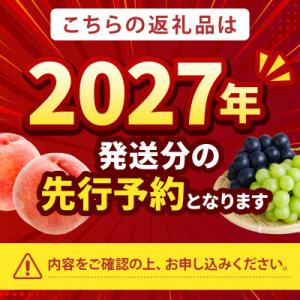 ふるさと納税 山梨市 2027年発送先行受付【...の詳細画像1