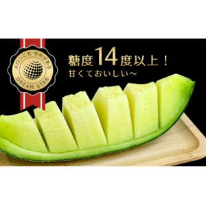 ふるさと納税 坂出市 さぬきメロン Dream Star 1.1kg以上
