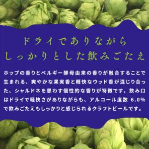 ふるさと納税 泉佐野市 クラフトビール 裏通り...の詳細画像3