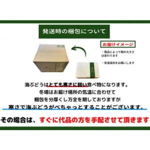 ふるさと納税 糸満市 朝採れ!しゃきしゃき海ぶ...の詳細画像3