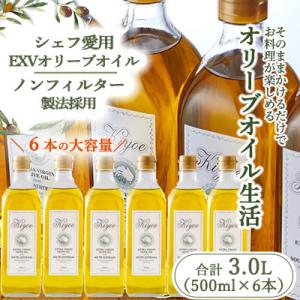 ふるさと納税 茨木市 【ファーストクラスでも採用された】『キヨエ』 エキストラバージンオリーブオイル　500ml×6本