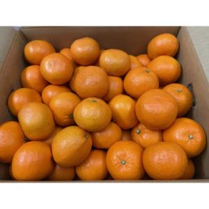 ふるさと納税 坂出市 はれひめ　約5kg