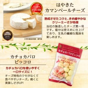 ふるさと納税 安平町 【世界チーズコンテスト受...の詳細画像1