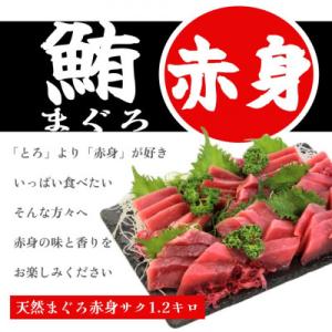 ふるさと納税 吉田町 天然まぐろ赤身サク1.2kg業務用