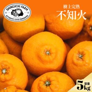 ふるさと納税 八幡浜市 【樹上完熟】不知火(デコ)5kg『甘みと程よい酸味のバランスが絶妙』【D70-30】