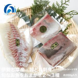 ふるさと納税 南伊勢町 伊勢志摩産 朝どれ新鮮 2〜3種 約350g お刺身用 おまかせセット 城水...