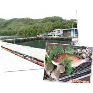 ふるさと納税 南伊勢町 【4名】すみちゃんの釣り堀 伊勢志摩で釣り体験 城水産がお土産付きの利用券を...