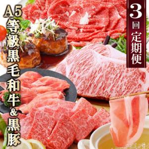 ふるさと納税 枕崎市 定期便(3回配送)鹿児島産A5等級黒毛和牛&amp;黒豚 EE-6014