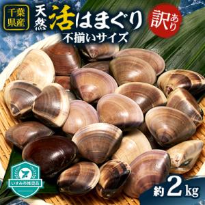 ふるさと納税 いすみ市 (( 訳あり ))　天然活はまぐり　約2.0kg