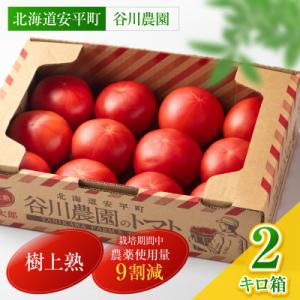 ふるさと納税 安平町 【北海道安平町】樹上熟3段採り 桃太郎トマト / 正品2kg箱(10〜15玉入...