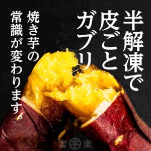 ふるさと納税 大洗町 【先行予約 2025年1...の詳細画像3