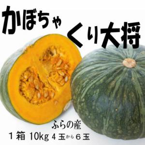 ふるさと納税 富良野市 【2027年発送先行受付】【数量・期間】ふらの産　かぼちゃ　1箱10kg(く...