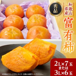 ふるさと納税 橋本市 【先行予約】匠果樹園 富有柿【秀品】白紫箱 2Lまたは3Lサイズ【令和7年11...