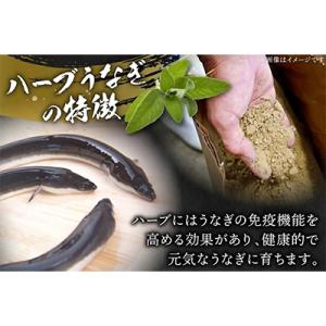 ふるさと納税 日向市 宮崎県日向市産 鰻楽ハー...の詳細画像2