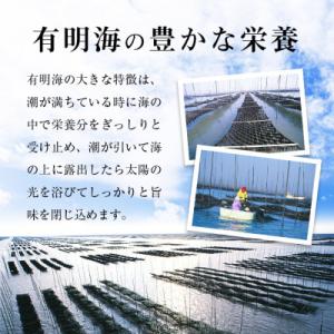 ふるさと納税 田川市 訳あり 有明海産 焼き海...の詳細画像3