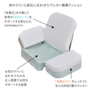 ふるさと納税 坂戸市 産学連携 美姿勢サポート...の詳細画像3
