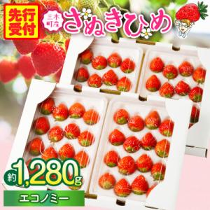 ふるさと納税 三木町 『苺音エコノミー』さぬきひめいちごがいっぱい!約1,280g【2026年2月〜...