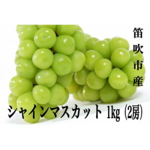 ふるさと納税 笛吹市 【2026年先行受付】笛吹市産 やみつきシャインマスカット1kg(2房)