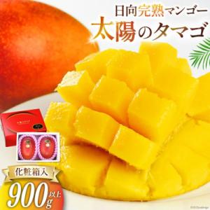 ふるさと納税 日向市 【2026年発送】マンゴー 太陽のタマゴ 秀品 900g以上