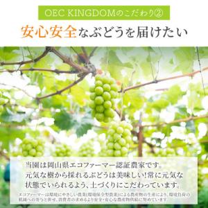 ふるさと納税 里庄町 [ご家庭用] シャインマ...の詳細画像2