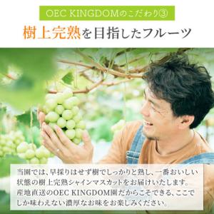 ふるさと納税 里庄町 [ご家庭用] シャインマ...の詳細画像3