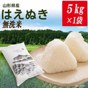 ふるさと納税 新庄市 令和7年産山形県産はえぬき 無洗米(精米)　5kg
