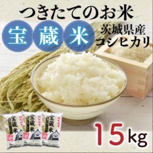 ふるさと納税 南魚沼市 「無洗米」南魚沼産 コシヒカリ お米 5kg×2袋