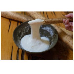 ふるさと納税 南木曽町 信州南木曽産　無添加100%　すりおろし自然薯250g