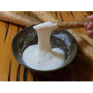 ふるさと納税 南木曽町 信州南木曽産　無添加100%　すりおろし自然薯小分けパック180g
